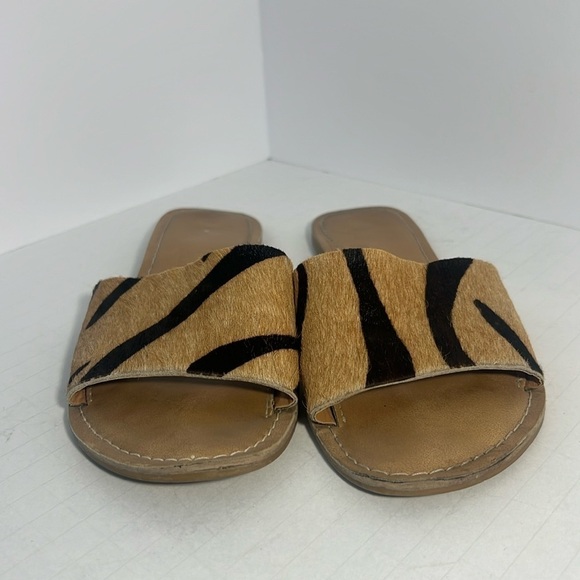 Coconuts by Matisse Cabana Slide size 6 - Picture 1 of 3